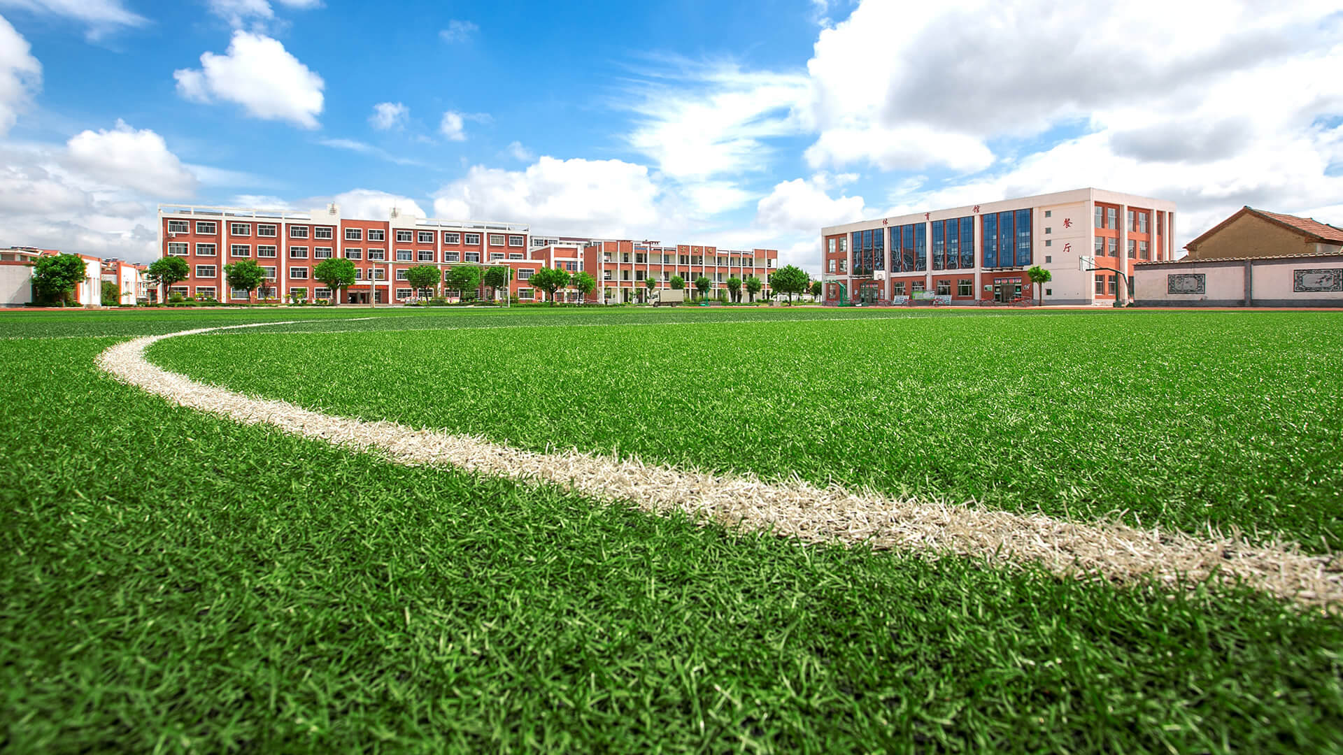 力特 · 运动球场人造草坪